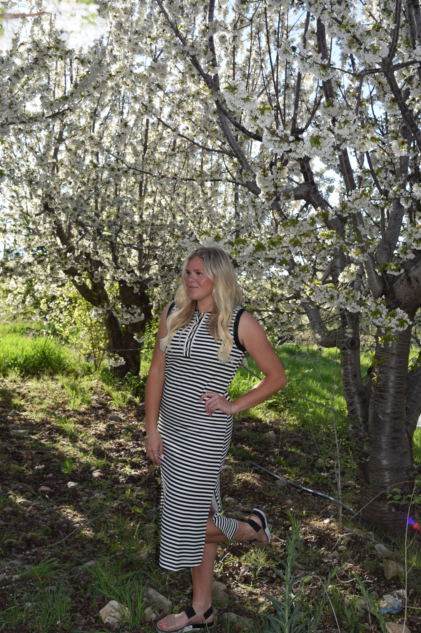 All- Day Everyday Dress