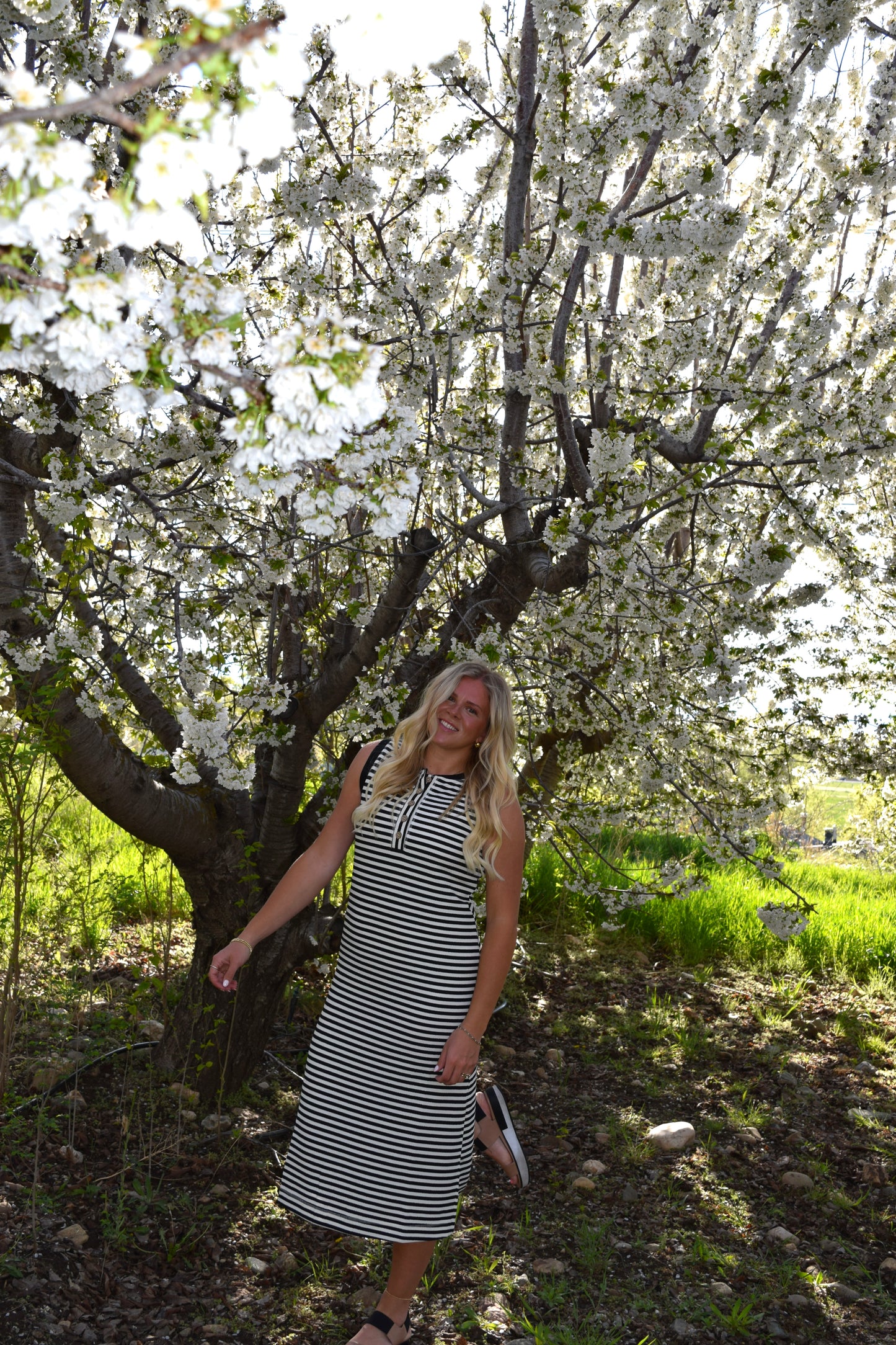 All- Day Everyday Dress