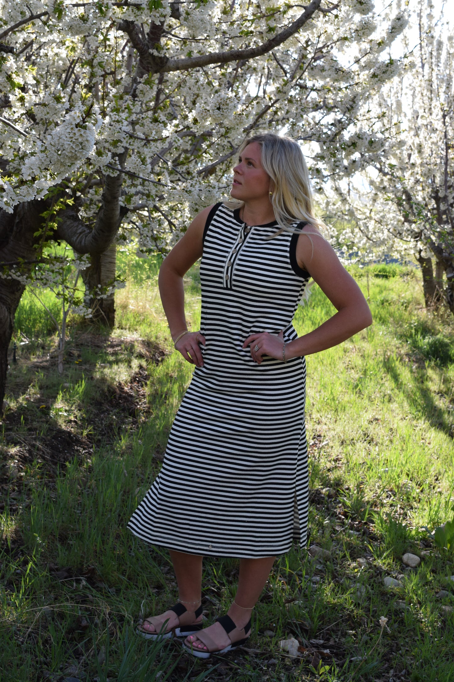 All- Day Everyday Dress