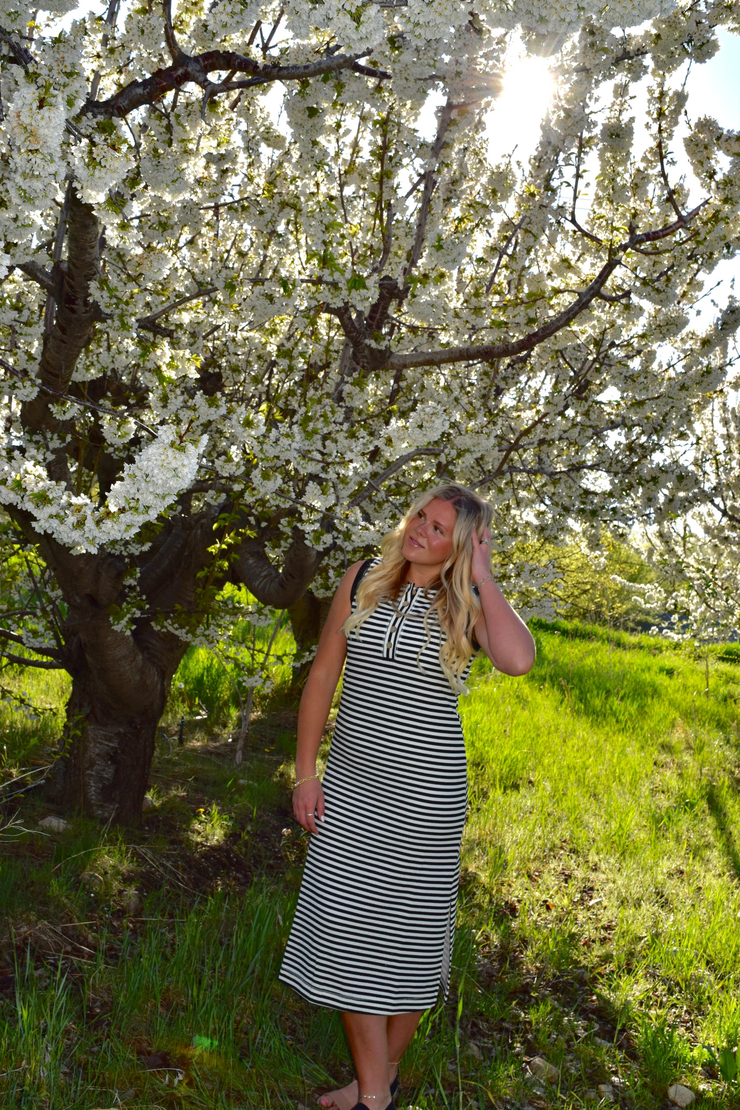 All- Day Everyday Dress